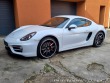 Porsche Cayman 2,7i*202Kw*6 válec*DPH! 2014