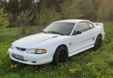 Ford Mustang 5,0 V8  SN95 GT