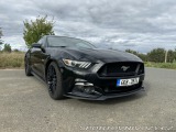 Ford Mustang 5.0 324KW US verze