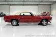 Ford Mustang Manual, V ČR