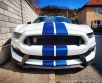 Ford Mustang SHELBY GT 350 2017