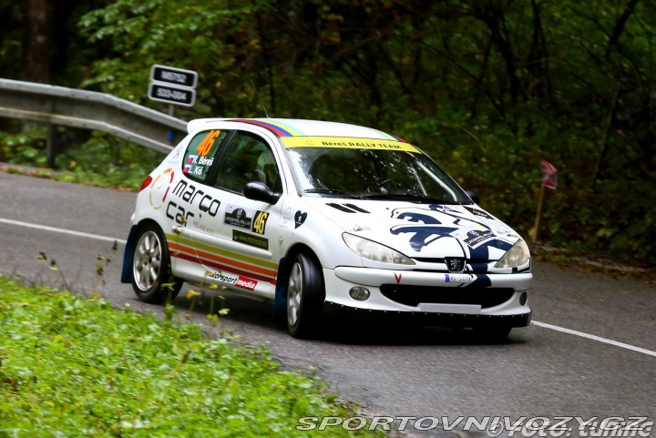 Peugeot 206 206 rc 2004