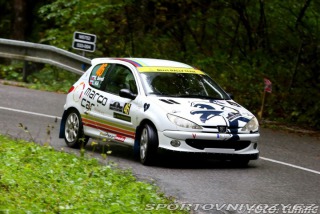 Peugeot 206 206 rc 2004