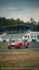 Cobra Ostatní modely AC Big Block 8.2ltr 1987