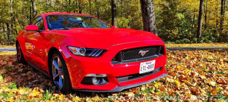 Ford Mustang 