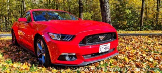 Ford Mustang 2016