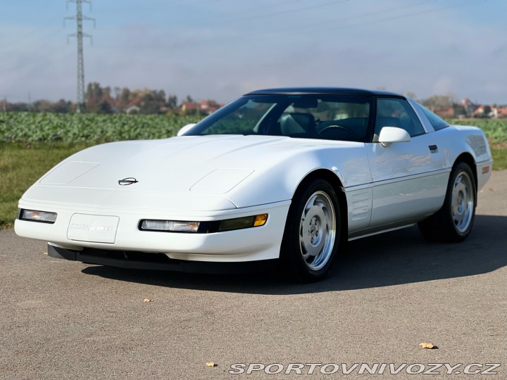 Chevrolet Corvette 5.7 V8 | L98 | 29.850 mil 1991