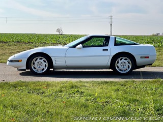 Chevrolet Corvette 5.7 V8 | L98 | 29.850 mil 1991