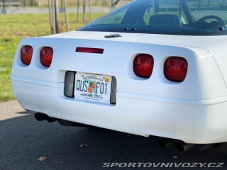 Chevrolet Corvette 5.7 V8 | L98 | 29.850 mil 1991