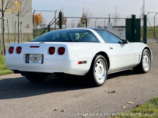 Chevrolet Corvette 5.7 V8 | L98 | 29.850 mil 1991