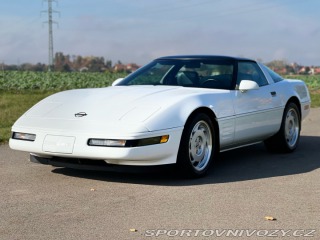 Chevrolet Corvette 5.7 V8 | L98 | 29.850 mil 1991
