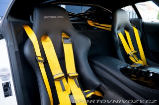 Mercedes-Benz AMG GT GT-R 430kW, AMG Track 2022