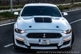 Ford Mustang 5,0L V8