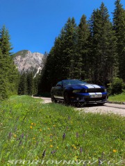 Ford Mustang Shelby GT500