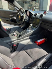 Porsche 718 Cayman GT4 PDK 2021