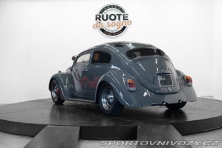 Volkswagen Brouk chopper 1970
