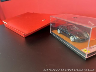 Ferrari 599 GTB HGTE 2009