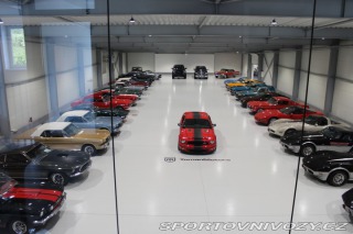 Ford Mustang Shelby GT500 Super Snake 2006