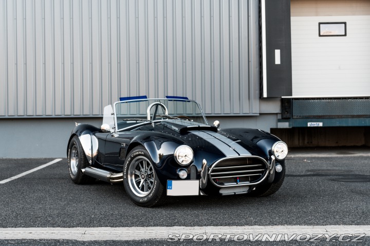 Ford Ostatní modely Shelby Cobra AK 1967