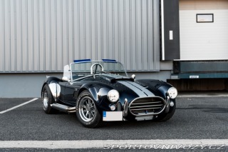Ford Ostatní modely Shelby Cobra AK 1967
