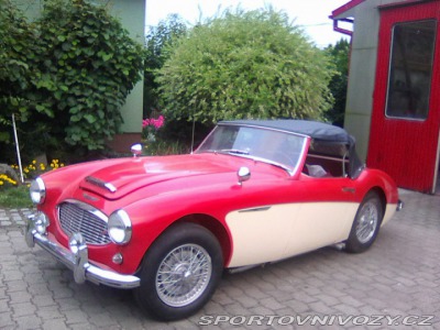 Ostatní značky Ostatní modely Austin Healey 100/6