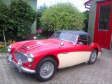   Austin Healey 100/6