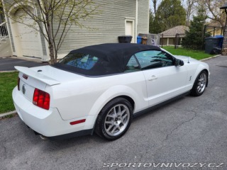 Ford Mustang Shelby GT500 2007