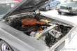 Dodge Charger Manul, V ČR