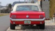 Ford Mustang CABRIOLET V8 5 speed 1966