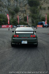 Nissan Skyline Skyline gTS 1995