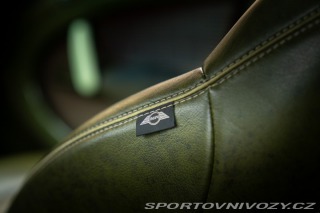 Mini Countryman  2011