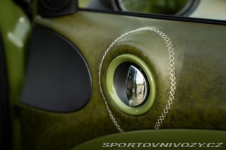 Mini Countryman  2011
