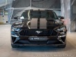 Ford Mustang 5.0 5.0L V8, GT, NAVI, AC