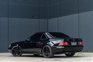 Mercedes-Benz SL 600 AMG paket moc pěkné 1993