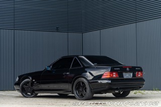 Mercedes-Benz SL 600 AMG paket moc pěkné 1993
