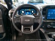 Ford Ostatní modely F-150 3.5 Platinum 6 BDS 2023