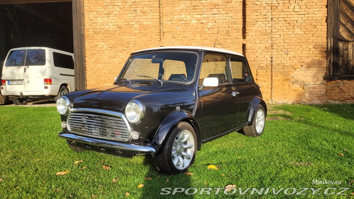 Mini Cooper 1993