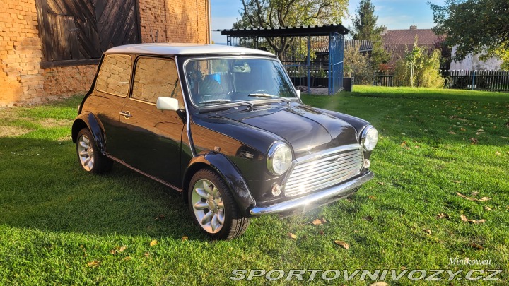 Mini Cooper 1993