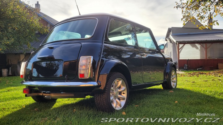 Mini Cooper 1993