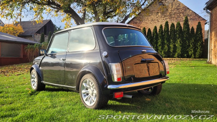 Mini Cooper 1993