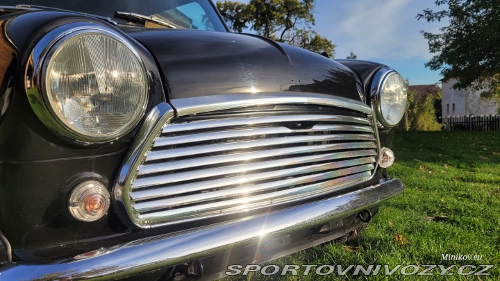 Mini Cooper 1993
