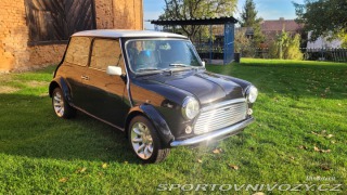 Mini Cooper  1993