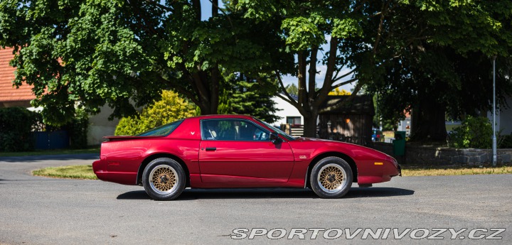 Pontiac Trans Am GTA 1991