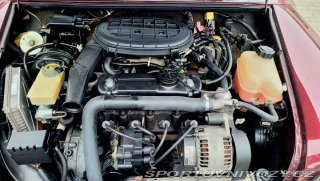 Mini Cooper 40th Anniversary 1999