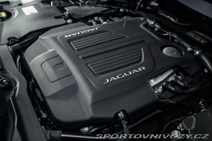 Jaguar F-Type Cabriolet V8 R AWD/Meridi 2019