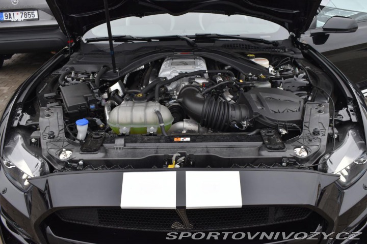 Ford Mustang SHELBY *REZERVACE* 2021