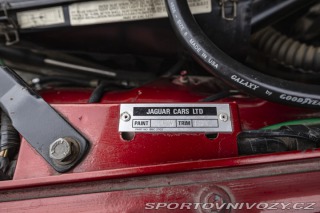 Jaguar XJS TWR 5.3 V12 1986