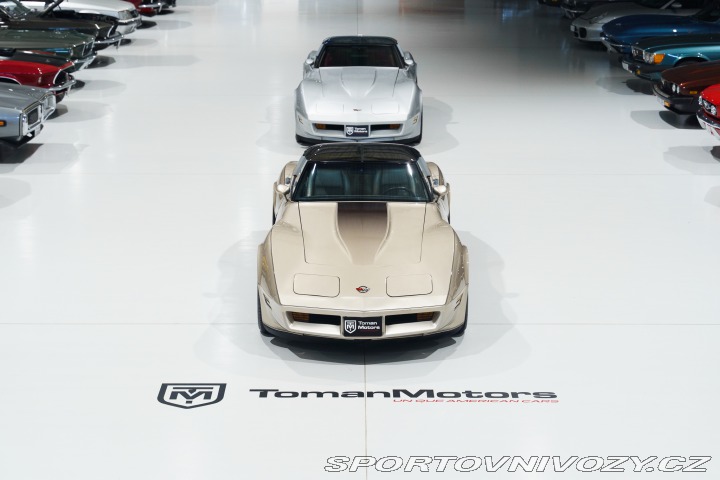 Chevrolet Corvette 16tis mi! V ČR na CZ RZ 1982