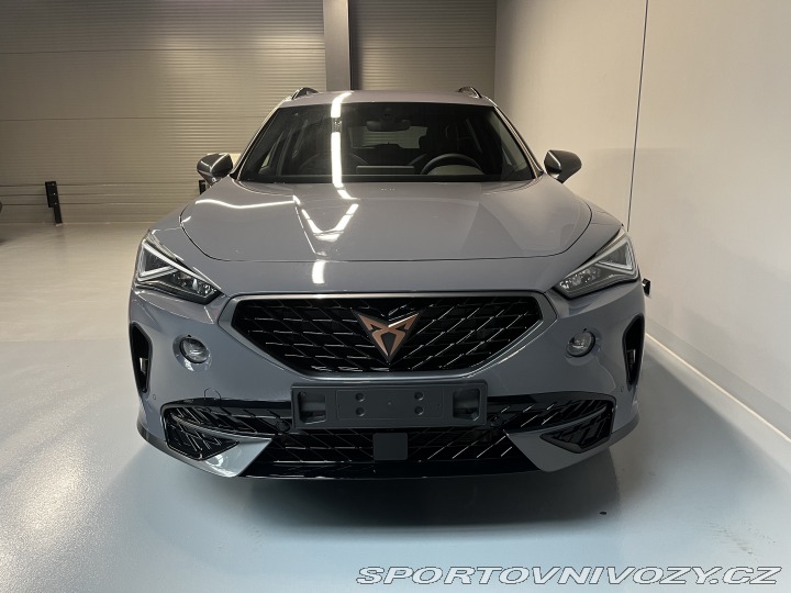 Cupra Formentor 2.0 TSI 190k DSG 4WD 2024