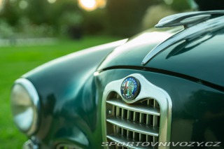 Alfa Romeo 1900  1952